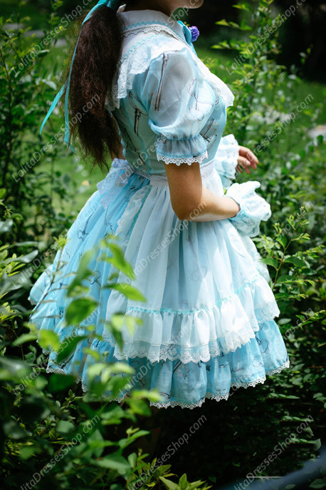 Sweet Chiffon Lace Alice in Wonderland Short Sleeve Knot OP Lolita Dress