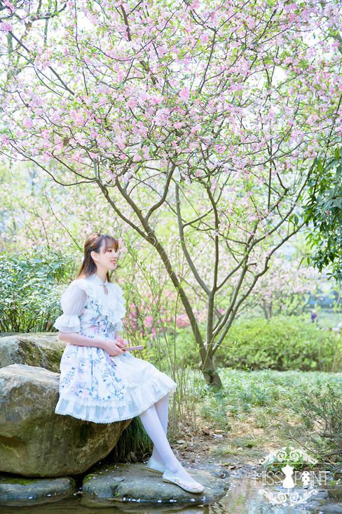 Interrupted Dream in the Garden Qi Miss Point Lolita OP Dress with Front Open Design