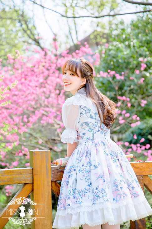 Interrupted Dream in the Garden Qi Miss Point Lolita OP Dress with Front Open Design