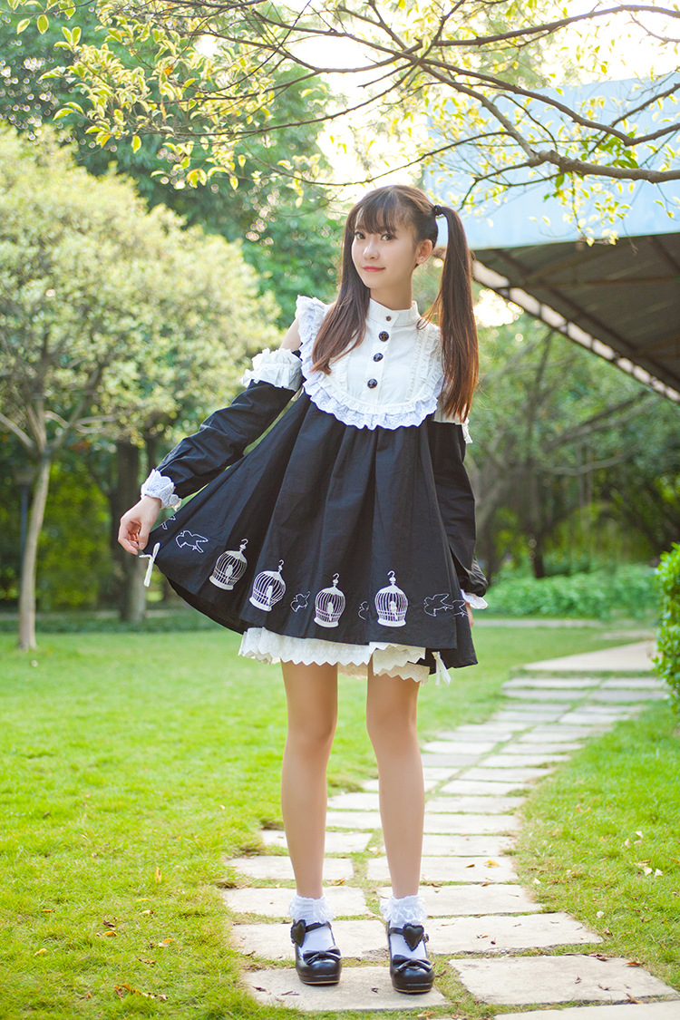 Birdcage Printing Strapless Lace Doll Lolita Dress