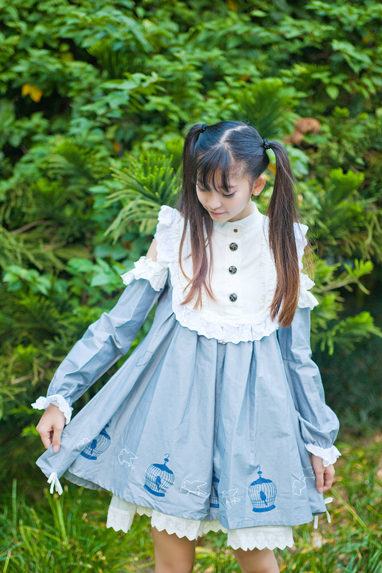 Birdcage Printing Strapless Lace Doll Lolita Dress