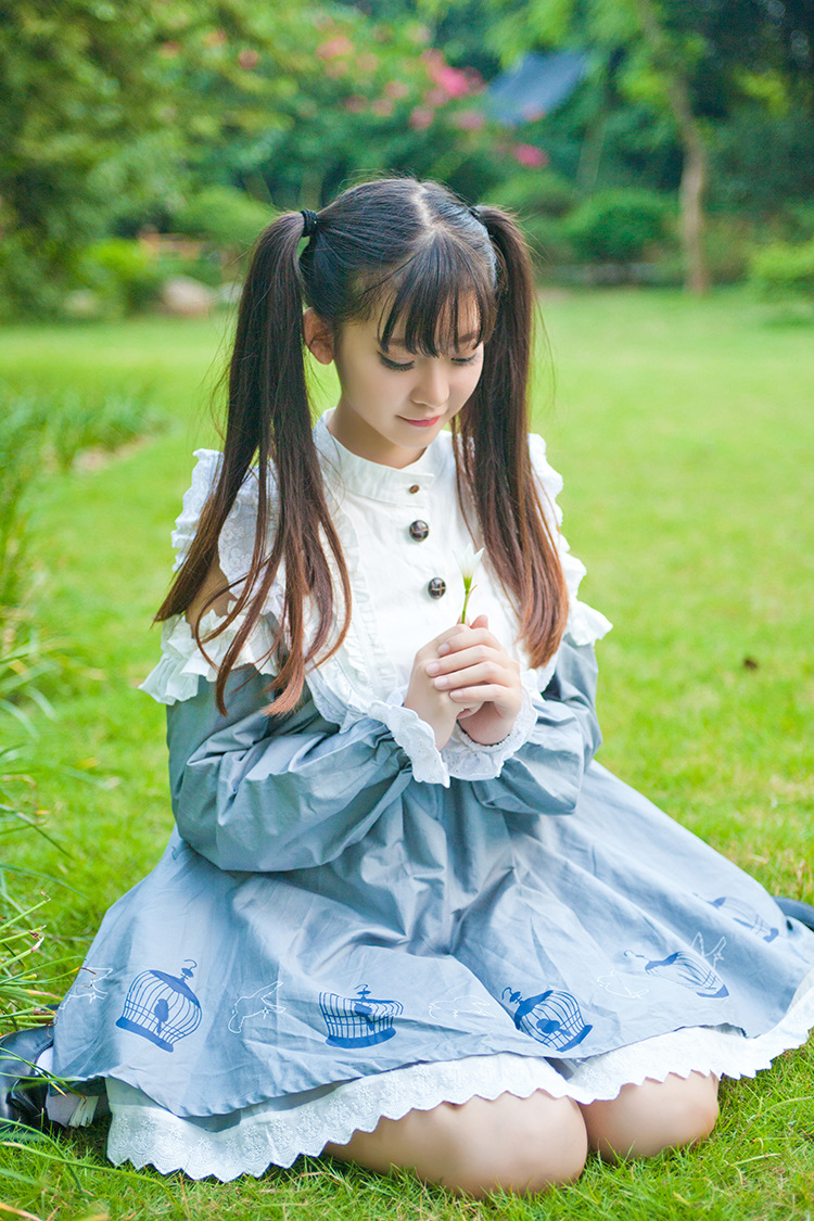 Birdcage Printing Strapless Lace Doll Lolita Dress
