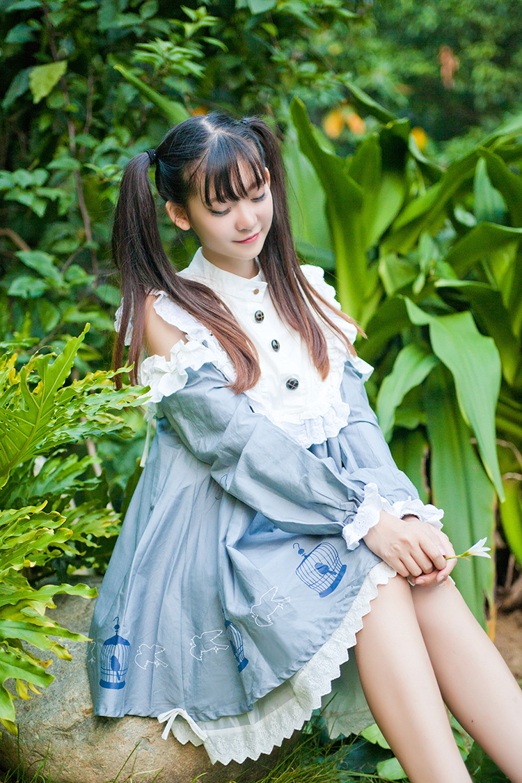 Birdcage Printing Strapless Lace Doll Lolita Dress