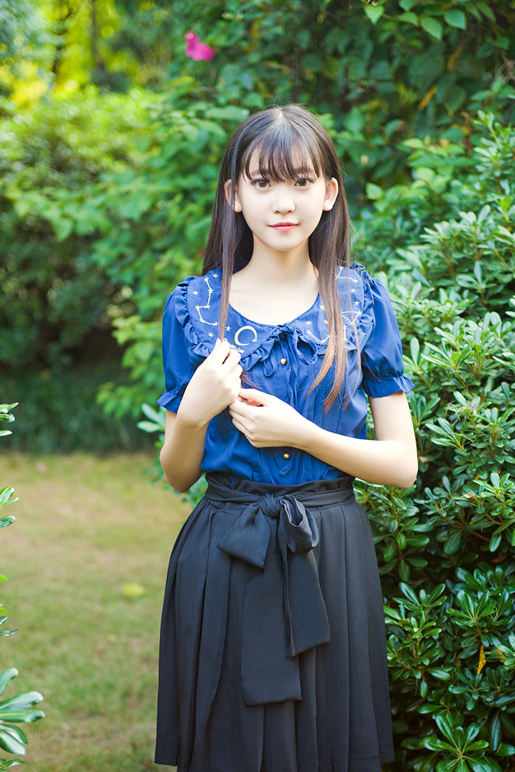 Embroidered Short Sleeves Chiffon Lolita Blouses