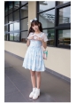 Cat Printing Lace Bow Lolita Dress